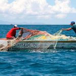 Exportación de pesca en Nicaragua puede duplicarse gracias al TLC con China Pesca en Nicaragua (Imagen de referencia)