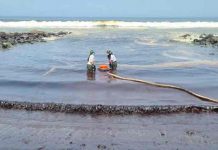Miles de personas donan cabello para retirar petróleo de playas de Perú Playas de Perú contaminadas por derrame de petróleo
