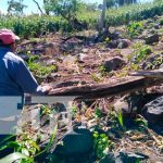 Lugar donde un anciano falleció en Ometepe