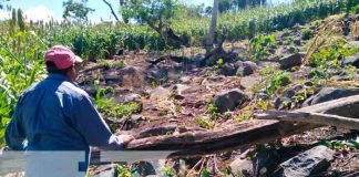 Lugar donde un anciano falleció en Ometepe