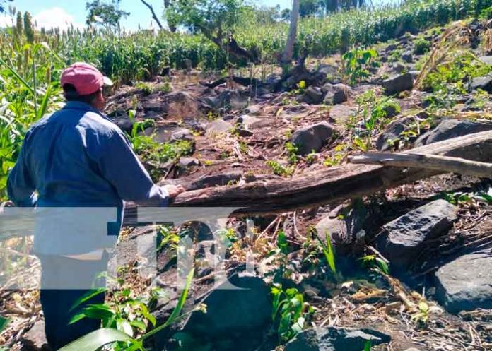 Lugar donde un anciano falleció en Ometepe