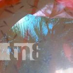 INPESCA entregó más de 150 alevines de Tilapia en San Carlos