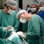 ¡Pioneros! Científicos rusos instalan un neuroimplante visual en un mono