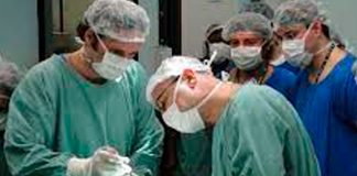 ¡Pioneros! Científicos rusos instalan un neuroimplante visual en un mono