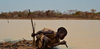 Reportan 14 casos del misterio y alarmante gusano de Guinea