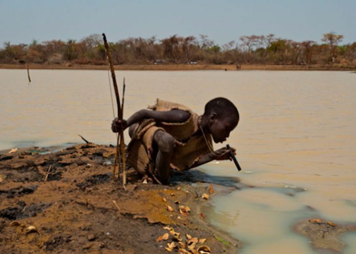 Reportan 14 casos del misterio y alarmante gusano de Guinea