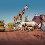 ¡Ya empezó! Científicos alertan sobre la sexta extinción masiva