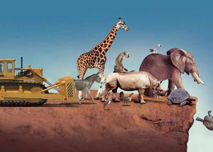 ¡Ya empezó! Científicos alertan sobre la sexta extinción masiva