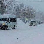 Ternura máxima: Niña sobrevive a frío extremo gracias a perro callejero Ternura máxima: Niña sobrevive a frío extremo gracias a perro callejero