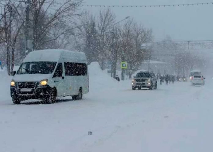 Ternura máxima: Niña sobrevive a frío extremo gracias a perro callejero