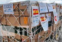 Nicaragua recibe 993 mil 400 dosis de vacunas Janssen Llegada de vacunas Janssen de Johnson and Johnson para Nicaragua