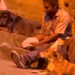 ¡Conmovedor! En colombia hombre celebra cumpleaños en la calle con sus perros ¡Conmovedor! En colombia hombre celebra cumpleaños en la calle con sus perros