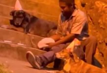 ¡Conmovedor! En colombia hombre celebra cumpleaños en la calle con sus perros ¡Conmovedor! En colombia hombre celebra cumpleaños en la calle con sus perros