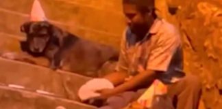 ¡Conmovedor! En colombia hombre celebra cumpleaños en la calle con sus perros