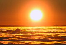 ¡Qué loca! Dice ser la dueña del sol y quiere que le paguen impuestos ¡Qué loca! Dice ser la dueña del sol y quiere que le paguen impuestos