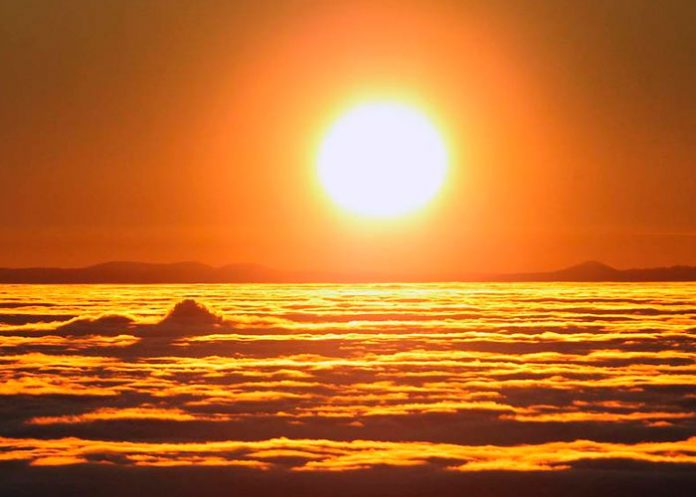 viral2 ¡Qué loca! Dice ser la dueña del sol y quiere que le paguen impuestos