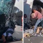 Sinvergüenzas de Veracruz dejan morir a conductor para robarle Sinvergüenzas de Veracruz dejan morir a conductor para robarle