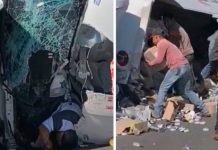 Sinvergüenzas de Veracruz dejan morir a conductor para robarle Sinvergüenzas de Veracruz dejan morir a conductor para robarle