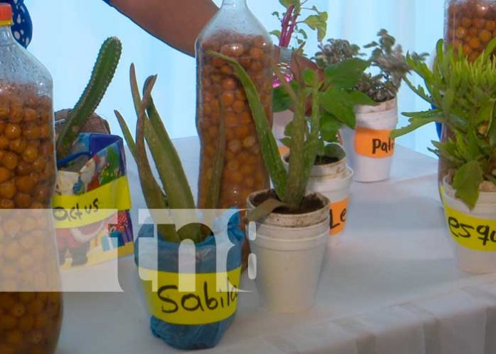 El INTA brinda acompañamiento a productores de Nicaragua