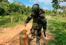 Hallan y desactivan más de 900 minas “quiebra patas” en Apure (FOTOS) Hallan y desactivan más de 900 minas “quiebra patas” en Apure (FOTOS).