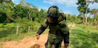 Hallan y desactivan más de 900 minas “quiebra patas” en Apure (FOTOS).