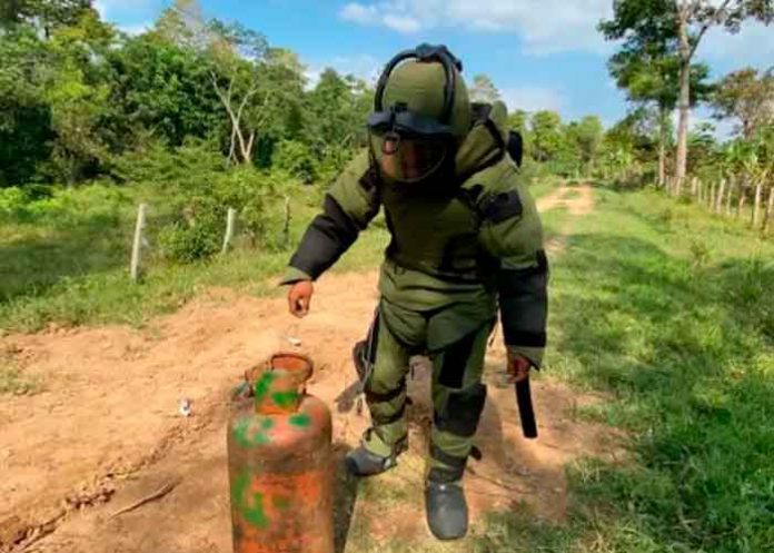 Hallan y desactivan más de 900 minas “quiebra patas” en Apure (FOTOS).