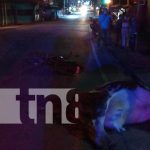 Río Blanco: Motociclista muere al impactar con semoviente Río Blanco accidente