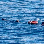 Subió a 10 los muertos por el naufragio de un barco cerca de Canadá Subió a 10 la cifra de muertos por naufragio cerca de Canadá.