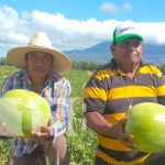Nandaime realiza exportación de sus productos