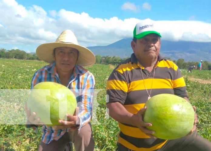 1 Nandaime realiza exportación de sus productos
