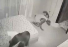 Ecuador: Perdió su bebé tras ataque “paranormal” en su propia casa