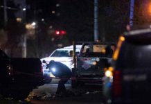 Tiroteo en un parque de Portland deja una muerte y varios heridos Tiroteo en un parque de Portland deja una muerte y varios heridos