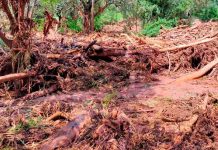 Desborde del Río Tarija, Bolivia deja 4 muertos y más de 20 desaparecidos Desborde del Río Tarija, Bolivia deja 4 muertos y más de 20 desaparecidos.