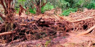 Desborde del Río Tarija, Bolivia deja 4 muertos y más de 20 desaparecidos.