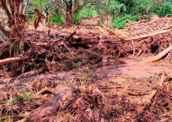 Desborde del Río Tarija, Bolivia deja 4 muertos y más de 20 desaparecidos.