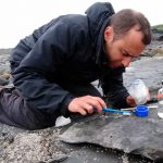 Encuentran el pterosaurio jurásico más grande del mundo en Escocia Encuentran el pterosaurio jurásico más grande del mundo en Escocia