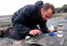 Encuentran el pterosaurio jurásico más grande del mundo en Escocia