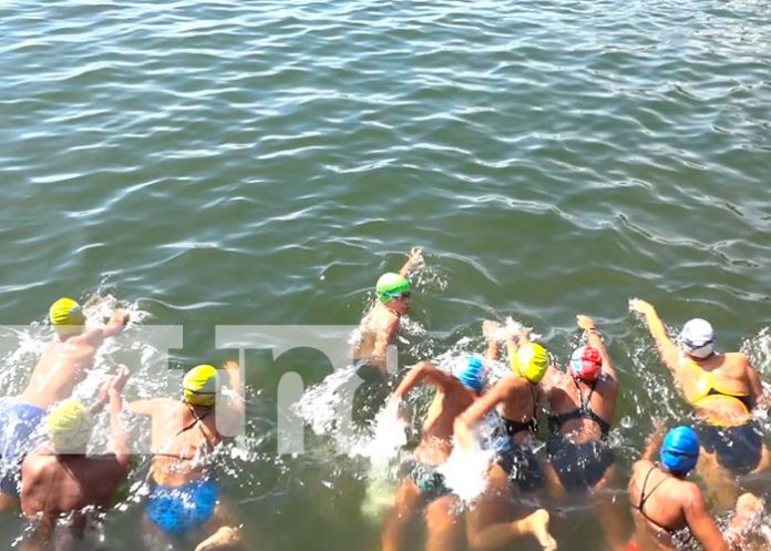 Nadadores de competencia en Granada