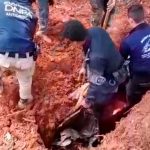 Tonelada y media de cocaína es incautada en un operativo en Honduras Tonelada y media de cocaína es incautada en un operativo en Honduras