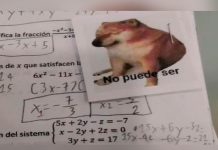 Profesor califica exámenes de matemáticas con memes y se hace viral Profesor califica exámenes de matemáticas con memes y se hace viral