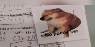 Profesor califica exámenes de matemáticas con memes y se hace viral