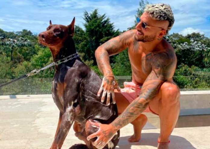 El perro doberman de Maluma lo ataca