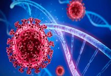 ¿Cómo actúan las proteínas Mbl en los que no se contagian de coronavirus? Los que nunca se han contagiado de coronavirus son llamados "nunca Covid"
