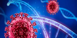 Los que nunca se han contagiado de coronavirus son llamados "nunca Covid"