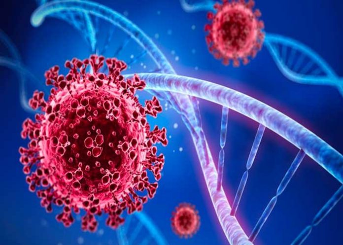 Los que nunca se han contagiado de coronavirus son llamados 