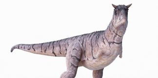 Nueva especie de dinosaurio sin brazos
