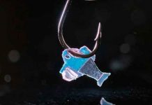 ¡Increíble! pez artificial que se mueve por células de corazón humano ¡Increible! pez artificial que se mueve por células de corazón humano