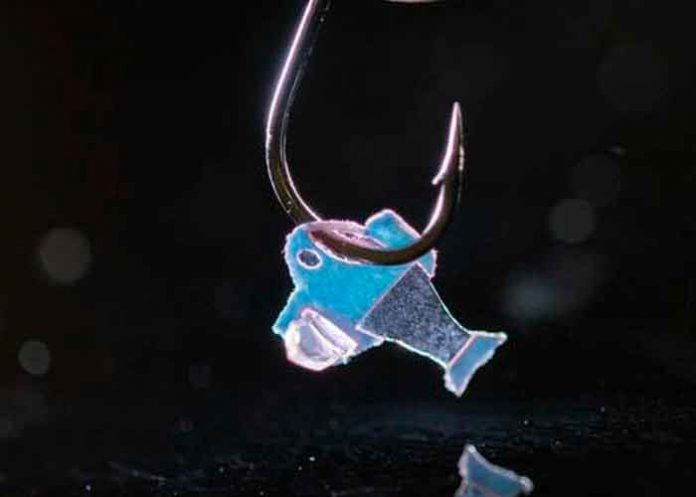 ¡Increible! pez artificial que se mueve por células de corazón humano