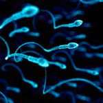 Testículos pueden ser un "santuario para el Covid"