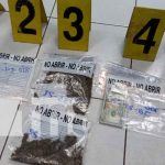 Policía Nacional en Masaya capturó a 14 sujetos por delitos graves Policía Nacional en Masaya capturó a 14 sujetos por delitos graves